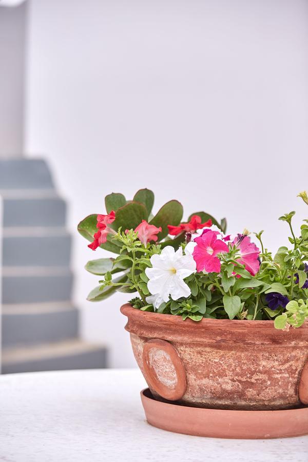 Spetses Retreat Accommodation Bagian luar foto