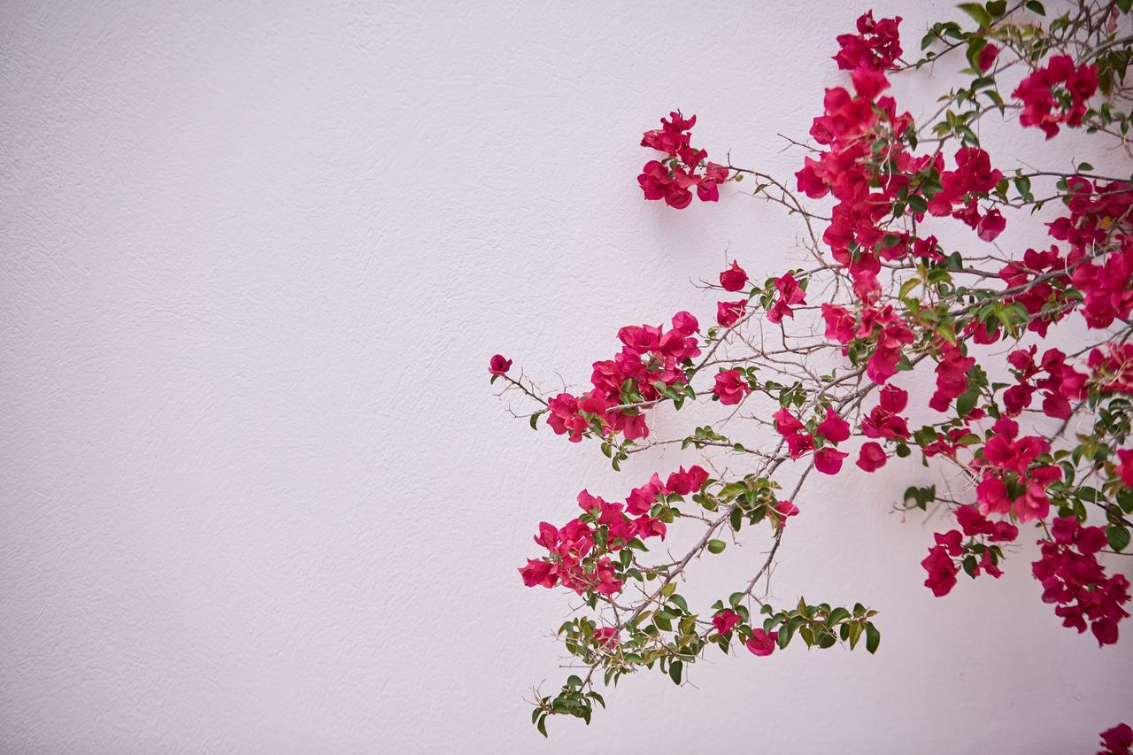 Spetses Retreat Accommodation Bagian luar foto