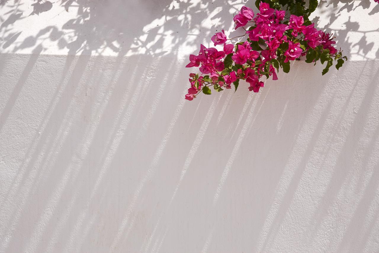Spetses Retreat Accommodation Bagian luar foto