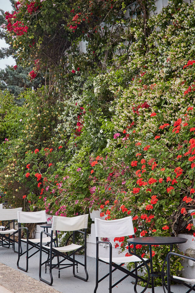 Spetses Retreat Accommodation Bagian luar foto
